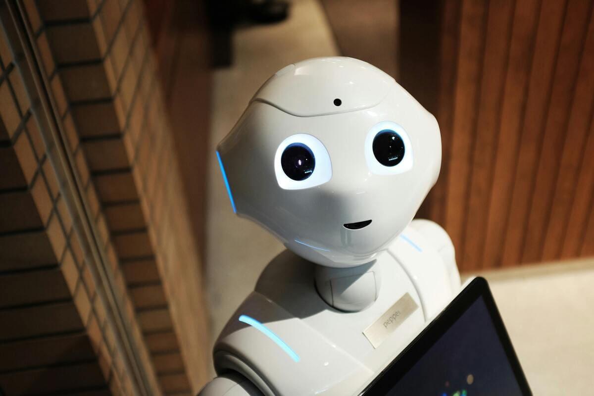 AI Took My Job—Now What? Government Programs That Can Help